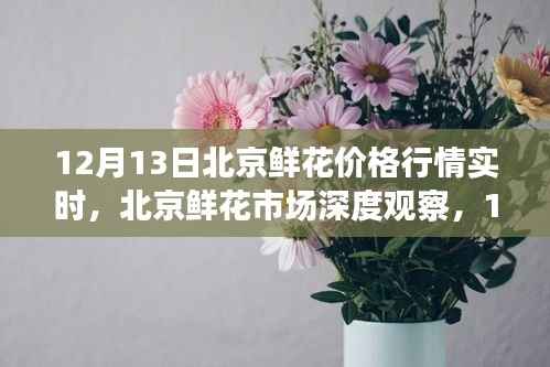 北京鲜花市场深度观察,12月13日鲜花价格行情实时解析与行情深度探讨