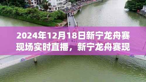 新宁龙舟赛现场直播深度体验与多维分析