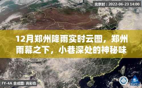 郑州雨幕之下,雨云实时云图与小巷特色小店探秘