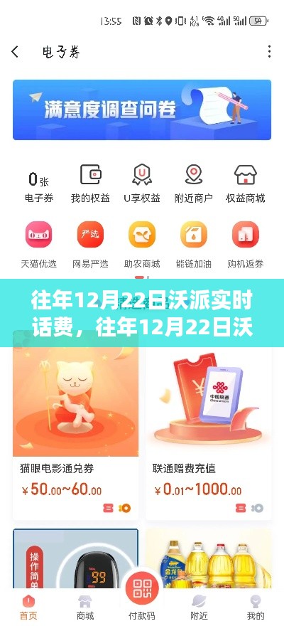 往年12月22日沃派实时话费查询,轻松掌握通信消费情况