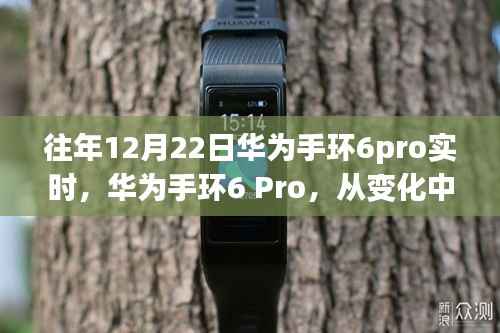 华为手环6 Pro,变化中学习,自信成就未来实时追踪重磅发布