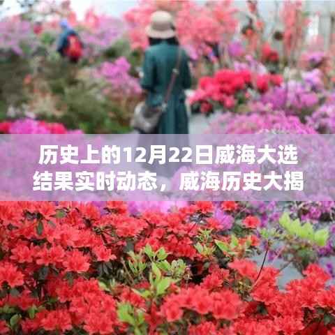 揭秘威海大选,历史性的12月22日大选结果实时动态回顾与解析