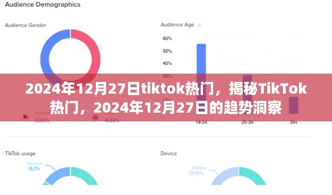 揭秘TikTok热门趋势,2024年12月27日洞察与揭秘