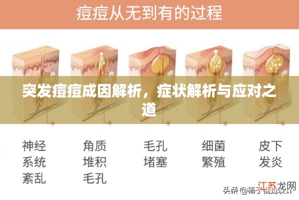 突发痘痘成因解析,症状解析与应对之道