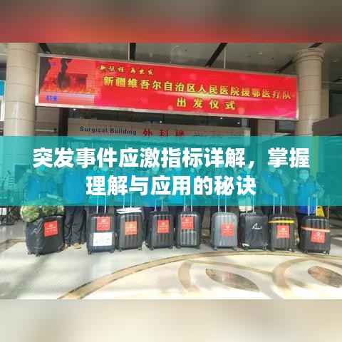 突发事件应激指标详解,掌握理解与应用的秘诀