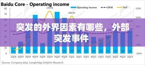 突发的外界因素有哪些,外部突发事件