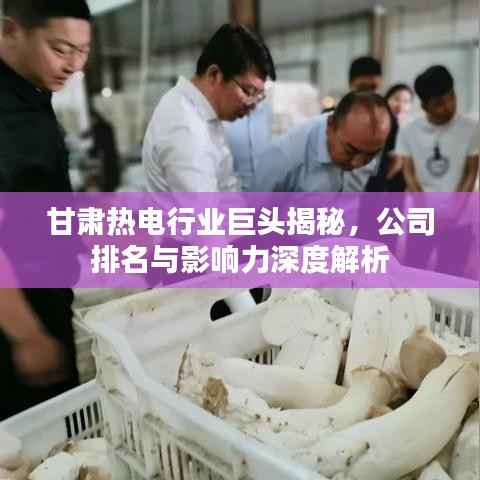 甘肃热电行业巨头揭秘,公司排名与影响力深度解析