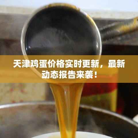 天津鸡蛋价格实时更新，最新动态报告来袭！