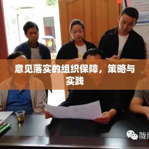 意见落实的组织保障,策略与实践