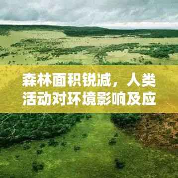 森林面积锐减,人类活动对环境影响及应对之策