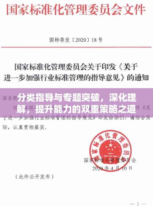 分类指导与专题突破，深化理解，提升能力的双重策略之道