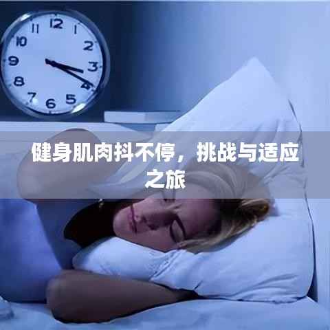 健身肌肉抖不停,挑战与适应之旅