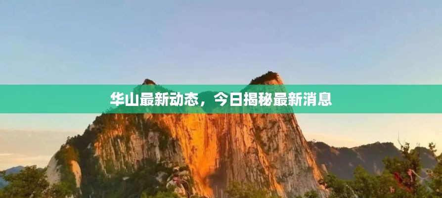 华山最新动态,今日揭秘最新消息