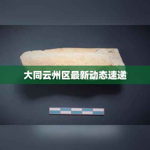 大同云州区最新动态速递