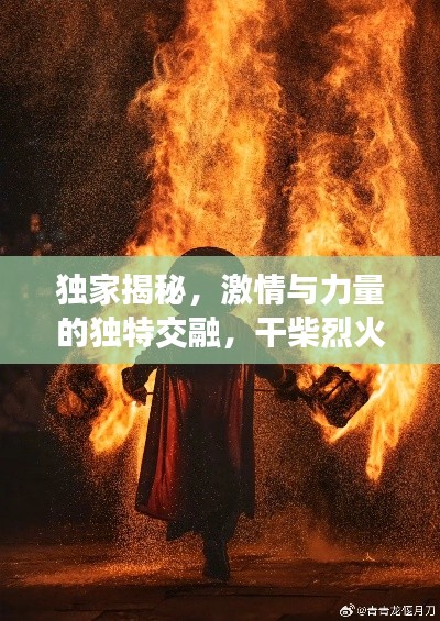 独家揭秘,激情与力量的独特交融,干柴烈火般的震撼瞬间!