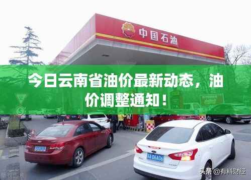 今日云南省油价最新动态，油价调整通知！