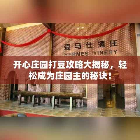 开心庄园打豆攻略大揭秘,轻松成为庄园主的秘诀!