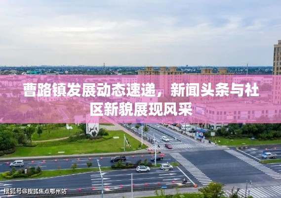 曹路镇发展动态速递,新闻头条与社区新貌展现风采