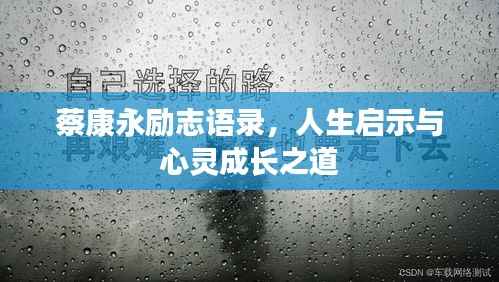 蔡康永励志语录,人生启示与心灵成长之道
