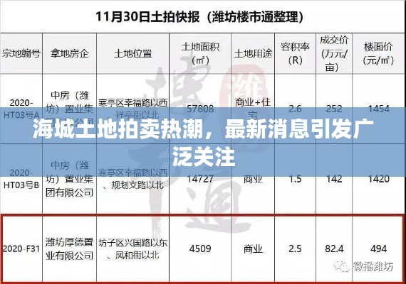 海城土地拍卖热潮,最新消息引发广泛关注