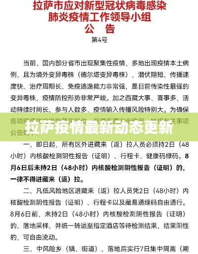 拉萨疫情最新动态更新