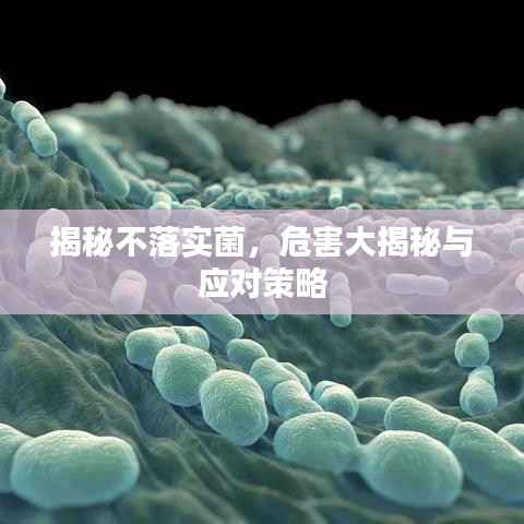 揭秘不落实菌,危害大揭秘与应对策略